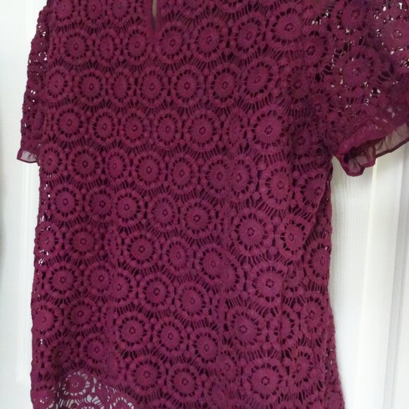 Daniel Rainn Size L Crochet lined Dressy Top Eggplant Wine Burgundy Dressy - Picture 5 of 11